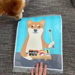 Shiba Inu Print